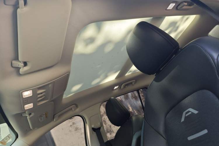Used Ford Focus 2021 EcoBoost 180 Automatic Hunter Edition Headliner