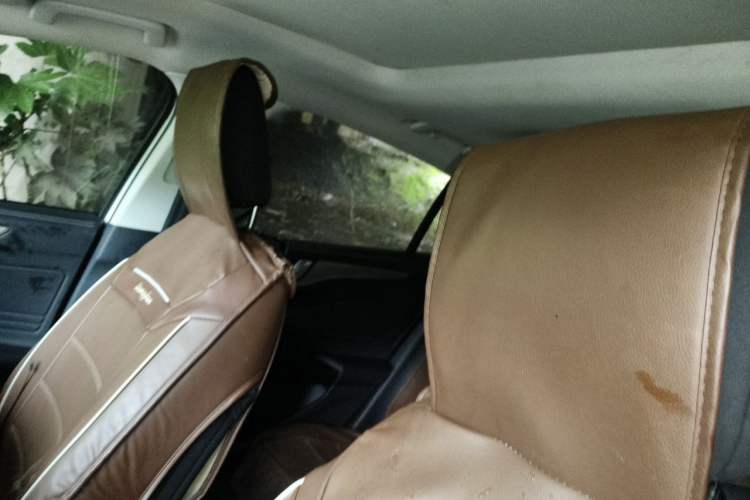 Used Ford Focus 2021 Sedan 1.5L Automatic Sharp Edition Headliner