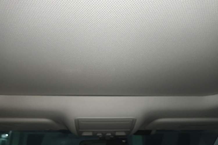 Used Ford Focus 2021 Hatchback EcoBoost 180 Automatic Titanium Edition Headliner