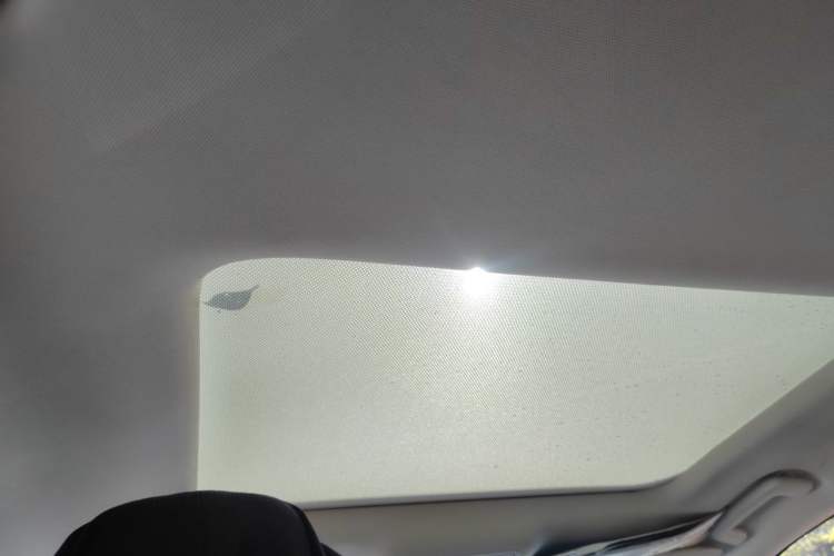 Used Ford Focus 2021 Hatchback EcoBoost 180 Automatic Titanium Edition Headliner