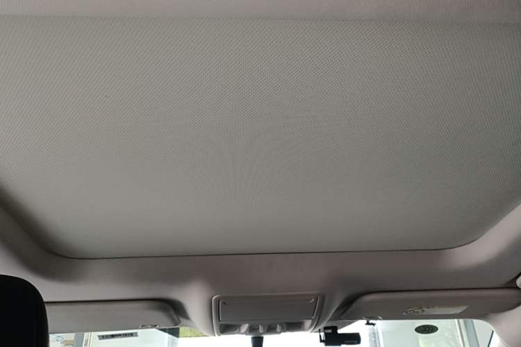 Used Ford Focus 2021 Hatchback EcoBoost 180 Automatic Titanium Edition Headliner