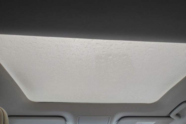 Used Ford Focus 2021 Sedan EcoBoost 180 Automatic Trendy Model Headliner