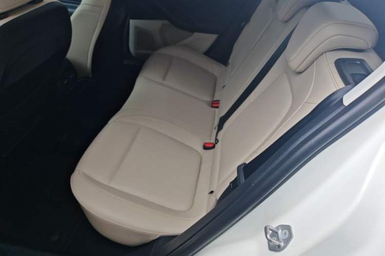 Used Ford Focus 2021 Sedan EcoBoost 180 Automatic Trendy Model Interior 4