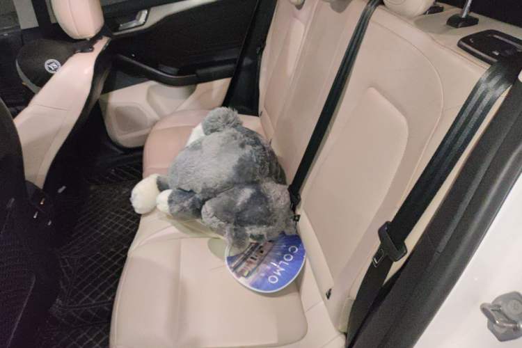 Used Ford Focus 2021 Sedan EcoBoost 180 Automatic Trendy Model Left Rear Seat
