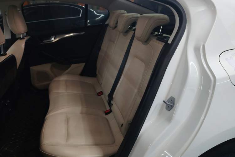 Used Ford Focus 2021 Sedan EcoBoost 180 Automatic Trendy Model Left Rear Seat
