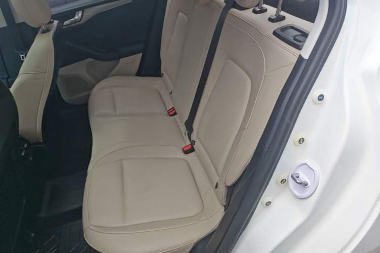 Used Ford Focus 2021 Sedan EcoBoost 180 Automatic Trendy Model Left Rear Seat