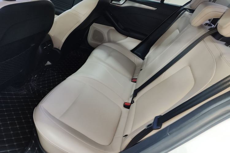 Used Ford Focus 2021 Sedan EcoBoost 180 Automatic Trendy Model Left Rear Seat
