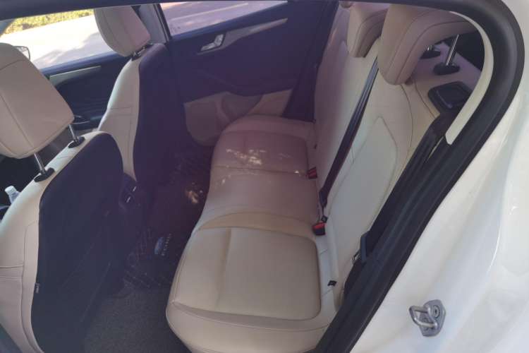 Used Ford Focus 2021 Sedan EcoBoost 180 Automatic Trendy Model Left Rear Seat