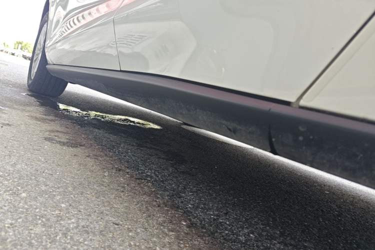 Used Ford Focus 2021 Sedan EcoBoost 180 Automatic Trendy Model Left Side Sill