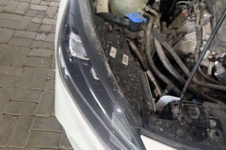 Used Ford Focus 2021 Sedan EcoBoost 180 Automatic ST Line Right Front Headlight