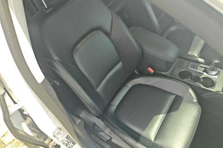 Used Ford Focus 2021 Sedan EcoBoost 180 Automatic Trendy Model Right Front Seat