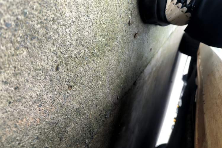 Used Ford Focus 2021 Sedan EcoBoost 180 Automatic ST Line Right Side Sill