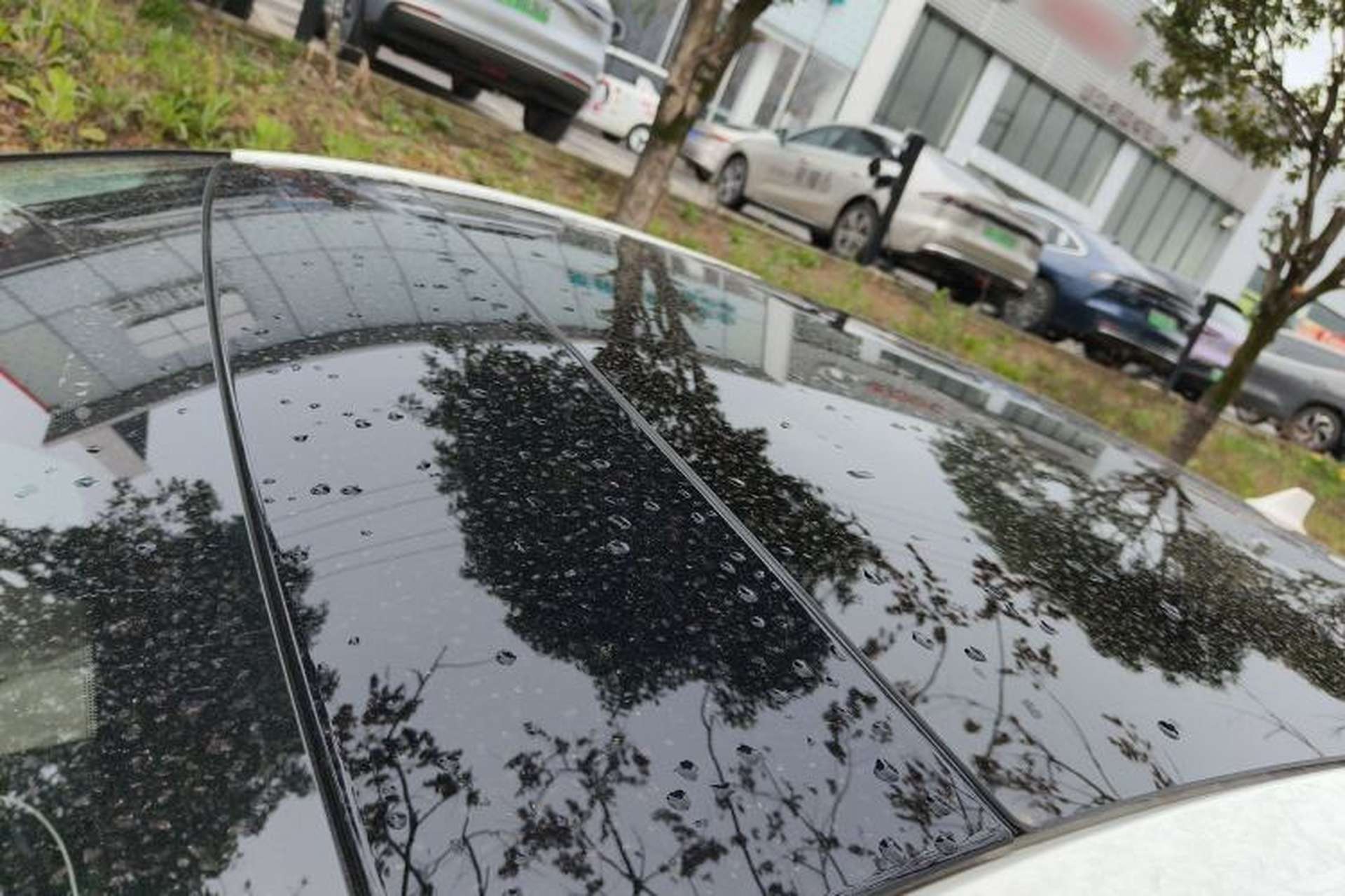 Used Ford Focus 2021 Sedan EcoBoost 180 Automatic Trendy Model Roof
