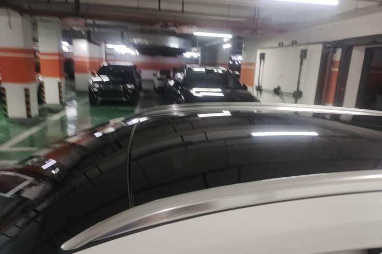 Used Ford Focus 2021 EcoBoost 180 Automatic Hunter Edition Roof