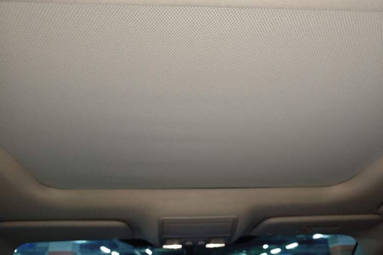Used Ford Focus 2022 Sedan EcoBoost 180 Automatic Performance Edition Headliner