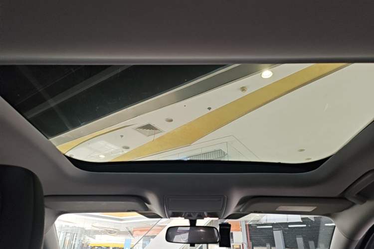 Used Ford Focus 2022 Hatchback EcoBoost 180 Automatic Performance Edition Headliner