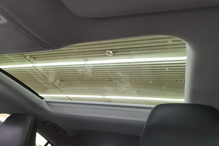 Used Ford Focus 2022 Sedan EcoBoost 180 Automatic Performance Edition Headliner