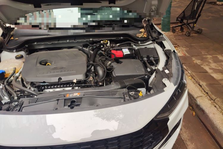 Used Ford Focus 2022 Hatchback EcoBoost 180 Automatic ST Line Engine Bay Left