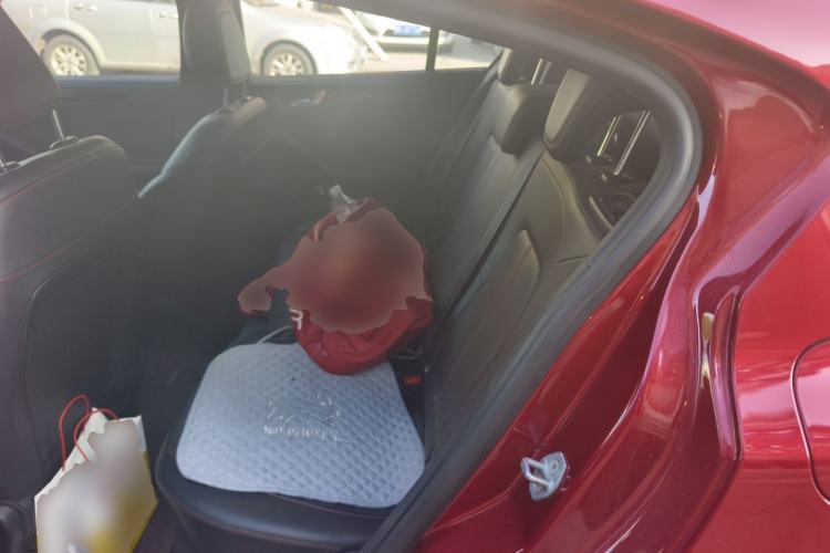 Used Ford Focus 2022 Hatchback EcoBoost 180 Automatic ST Line Left Rear Seat
