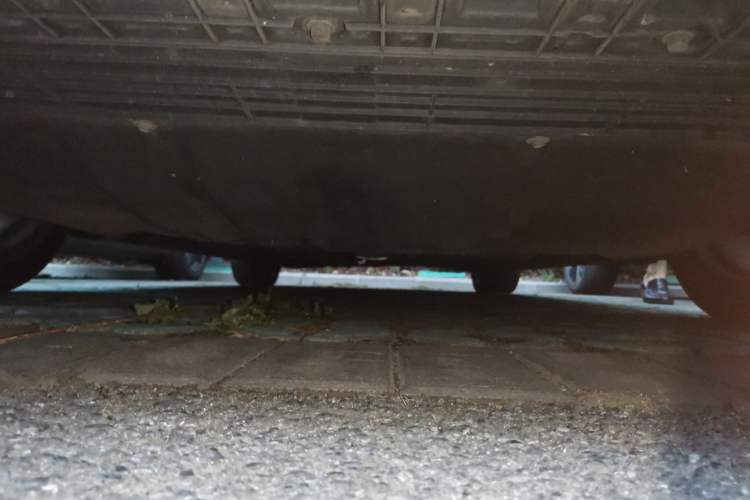 Used Ford Focus 2022 Hatchback EcoBoost 180 Automatic ST Line Chassis Front