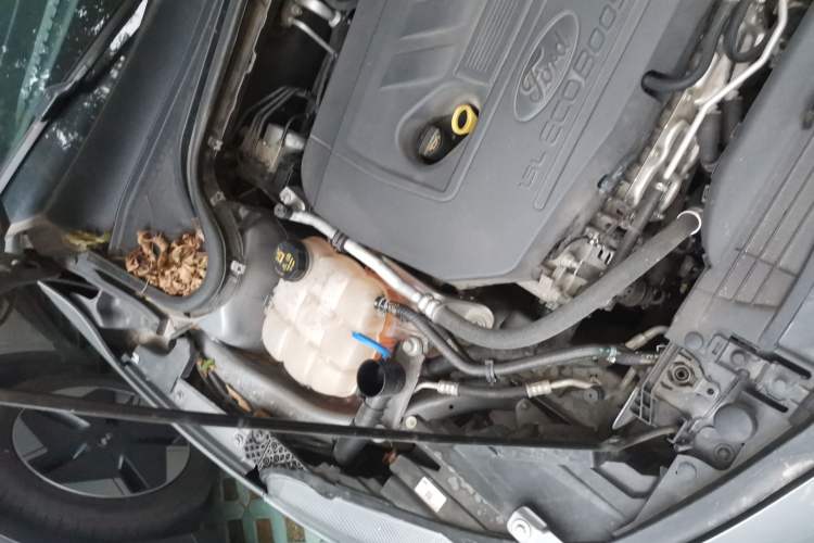 Used Ford Focus 2022 Hatchback EcoBoost 180 Automatic ST Line Engine Bay Left