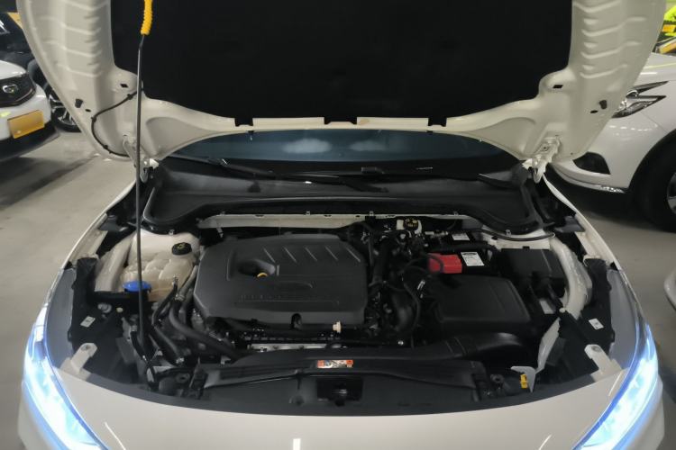 Used Ford Focus 2022 Hatchback EcoBoost 180 Automatic ST Line Engine Bay