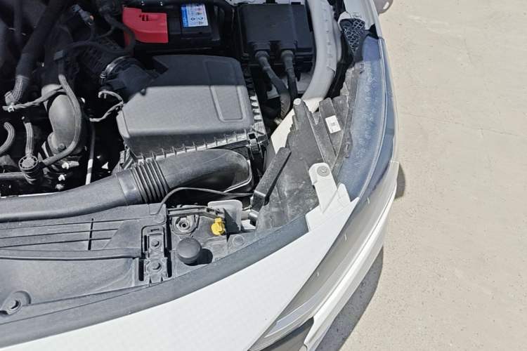 Used Ford Focus 2022 Sedan EcoBoost 180 Automatic Performance Edition Engine Bay Left