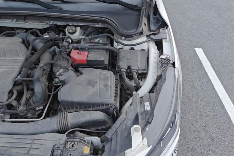 Used Ford Focus 2022 Sedan EcoBoost 180 Automatic ST Line Engine Bay Left
