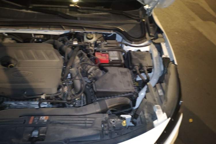 Used Ford Focus 2022 Hatchback EcoBoost 180 Automatic Performance Edition Engine Bay Left