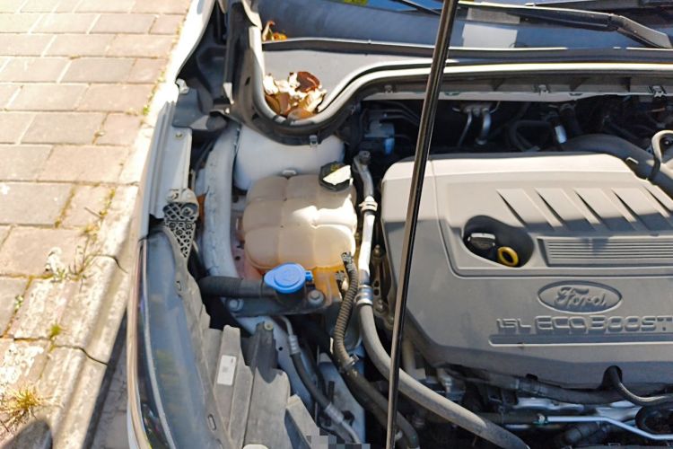 Used Ford Focus 2022 Hatchback EcoBoost 180 Automatic Performance Edition Engine Bay Right