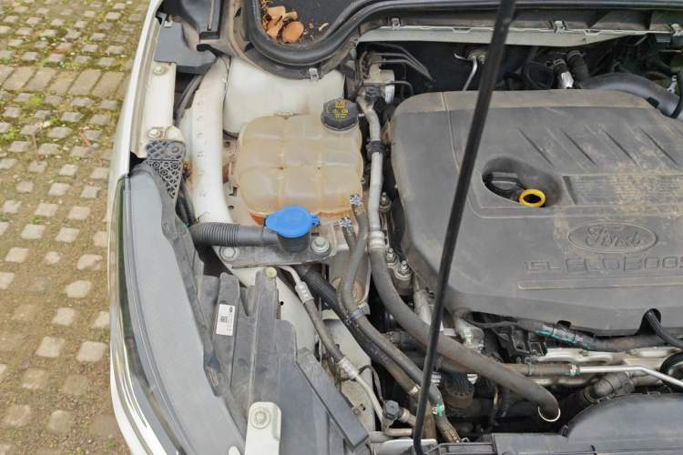Used Ford Focus 2022 Hatchback EcoBoost 180 Automatic Performance Edition Engine Bay Right