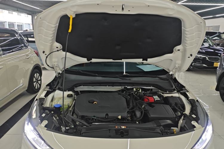 Used Ford Focus 2022 Sedan EcoBoost 180 Automatic Performance Edition Engine Bay