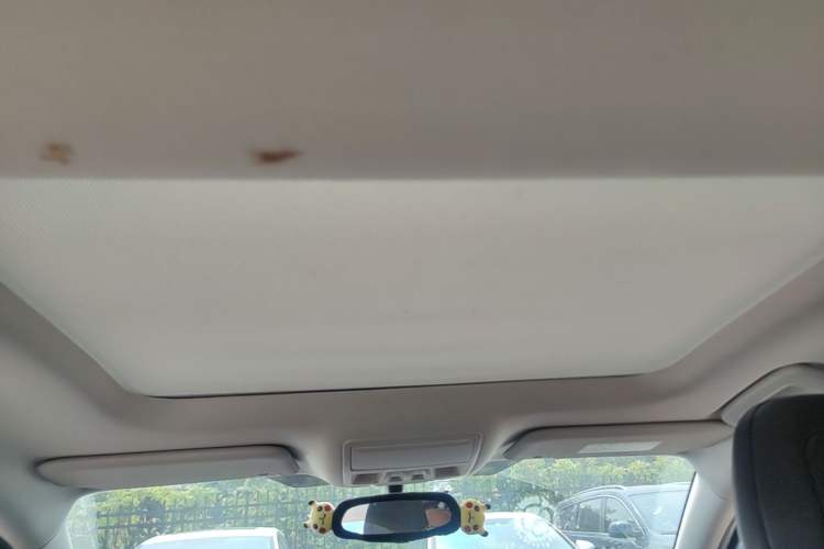 Used Ford Focus 2022 Hatchback EcoBoost 180 Automatic Performance Edition Headliner