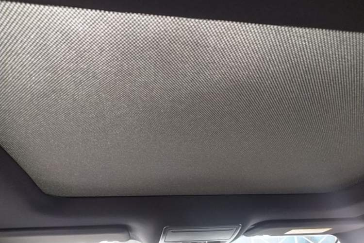 Used Ford Focus 2022 Sedan EcoBoost 180 Automatic ST Line Headliner
