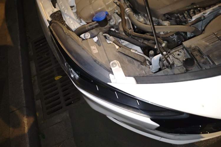 Used Ford Focus 2022 Hatchback EcoBoost 180 Automatic Performance Edition Right Front Headlight