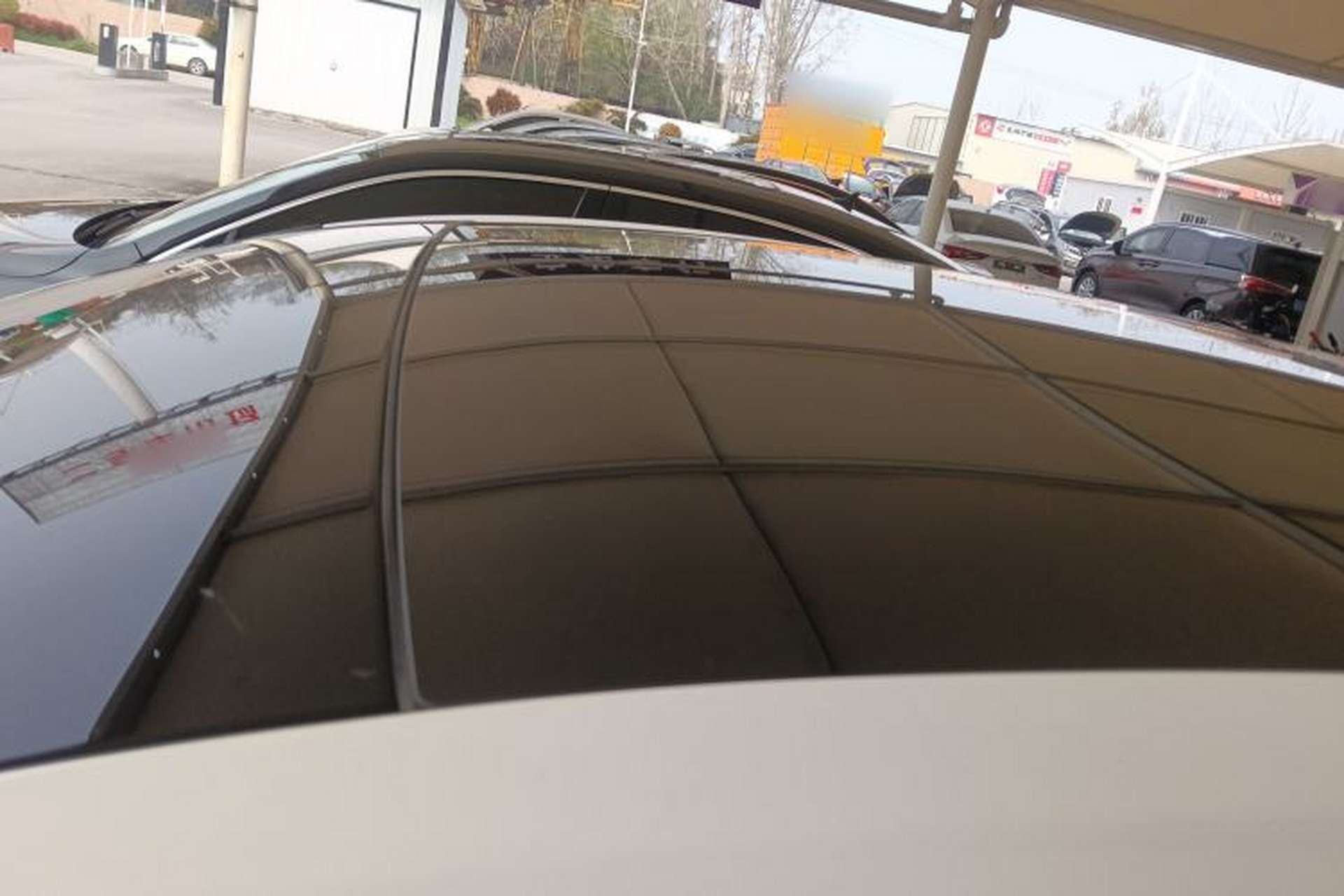 Used Ford Focus 2022 Hatchback EcoBoost 180 Automatic Performance Edition Roof