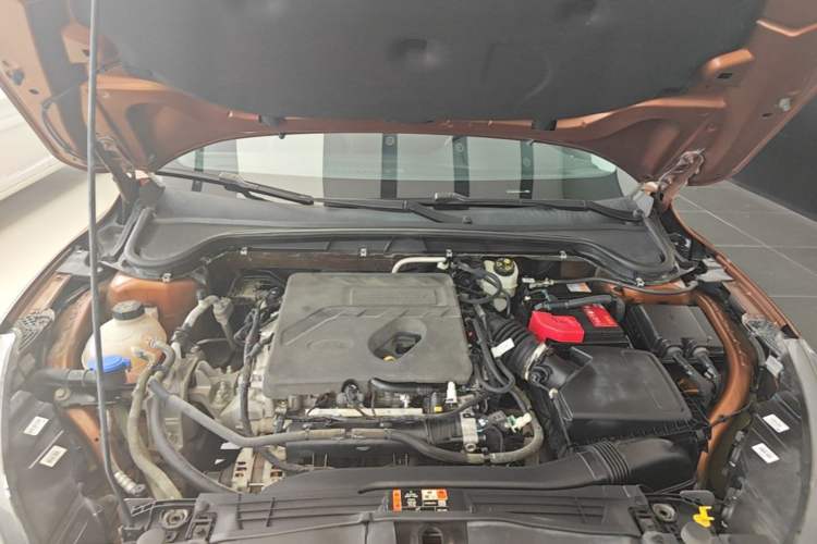 Used Ford Focus Active 2020 EcoBoost 180 Automatic Trendy Model Engine Bay