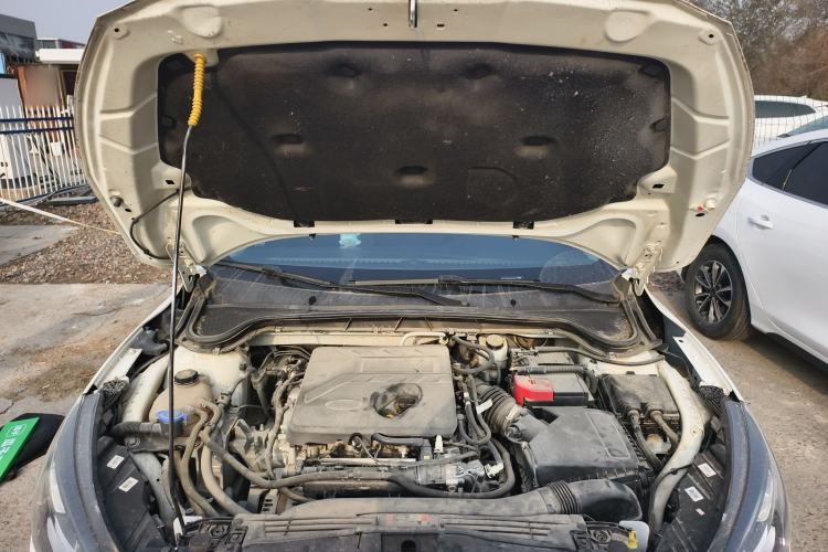Used Ford Focus Active 2020 EcoBoost 180 Automatic Trendy Model Engine Bay