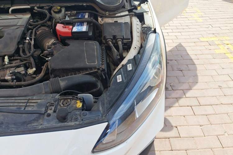 Used Ford Focus Active 2020 EcoBoost 180 Automatic Trendy Model Engine Bay Left