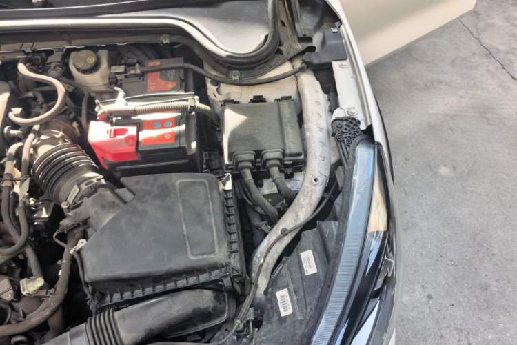 Used Ford Focus Active 2020 EcoBoost 180 Automatic Trendy Model Engine Bay Left