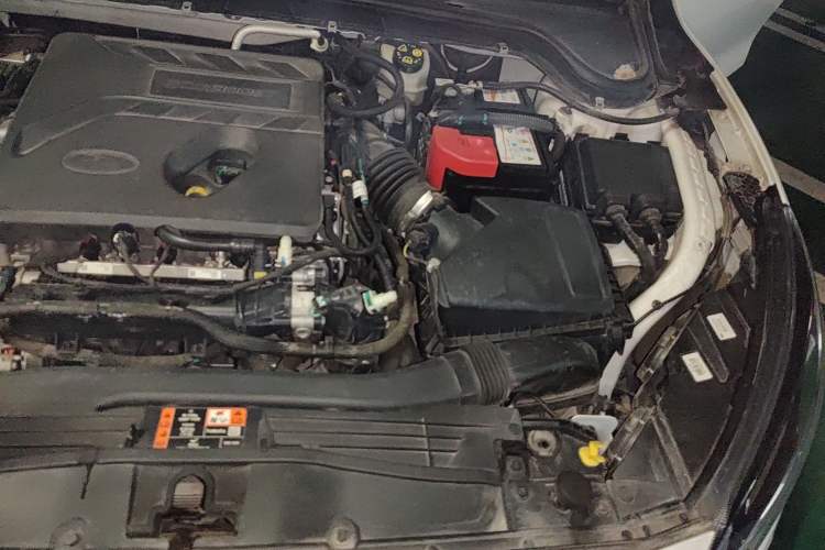 Used Ford Focus Active 2020 EcoBoost 180 Automatic Trendy Model Engine Bay Left