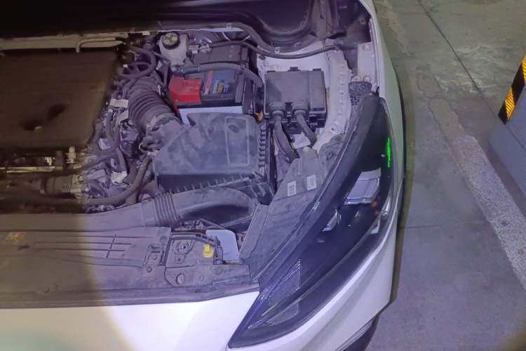 Used Ford Focus Active 2020 EcoBoost 180 Automatic Titanium Edition Engine Bay Left