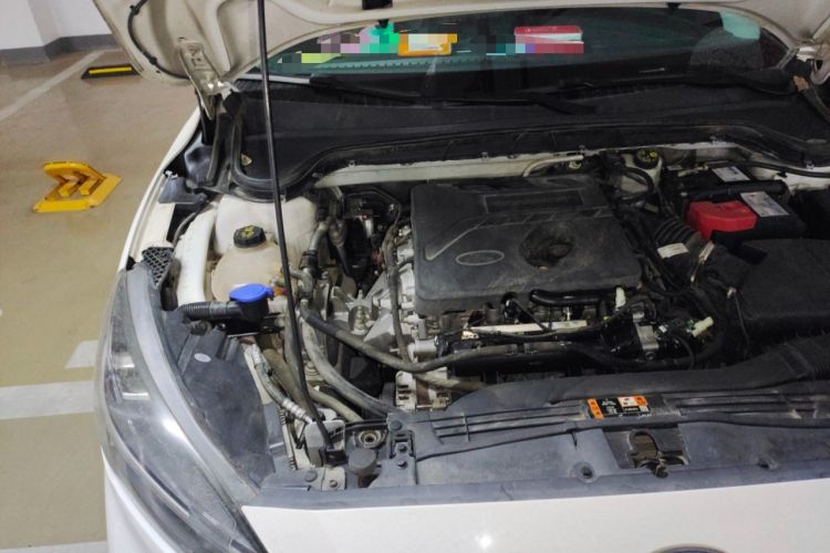 Used Ford Focus Active 2020 EcoBoost 180 Automatic Trendy Model Engine Bay Right