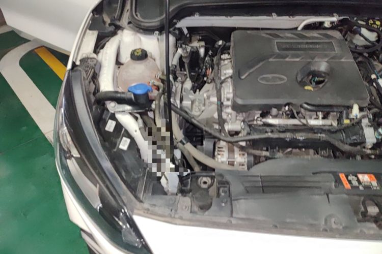 Used Ford Focus Active 2020 EcoBoost 180 Automatic Trendy Model Engine Bay Right
