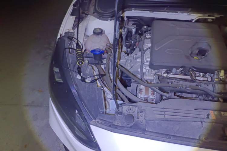 Used Ford Focus Active 2020 EcoBoost 180 Automatic Titanium Edition Engine Bay Right