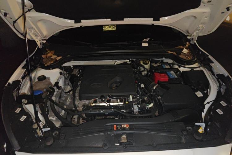 Used Ford Focus Active 2020 EcoBoost 180 Automatic Trendy Model Engine Bay