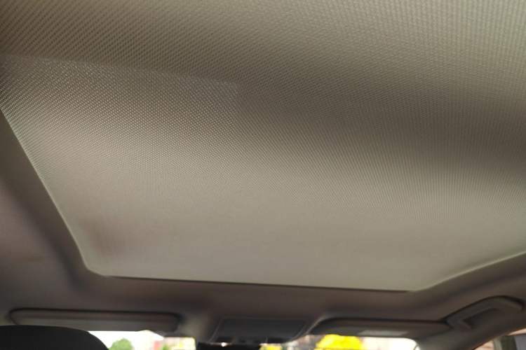 Used Ford Focus Active 2020 EcoBoost 180 Automatic Titanium Edition Headliner
