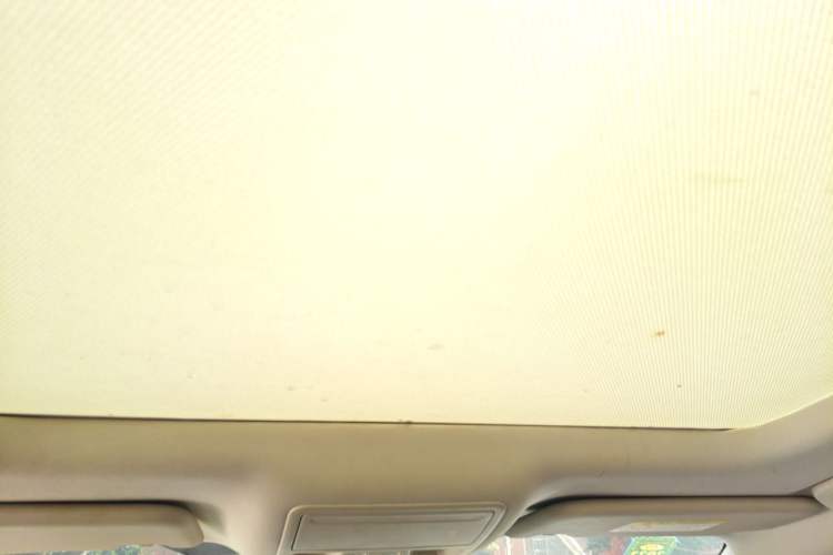 Used Ford Focus Active 2020 EcoBoost 180 Automatic Trendy Model Headliner