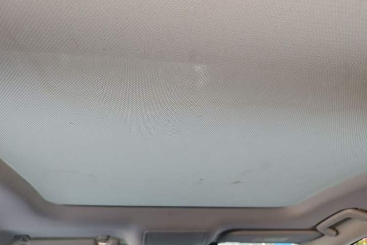 Used Ford Focus Active 2020 EcoBoost 180 Automatic Titanium Edition Headliner