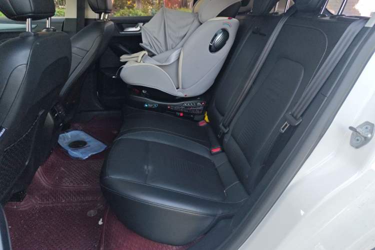 Used Ford Focus Active 2020 EcoBoost 180 Automatic Titanium Edition Left Rear Seat